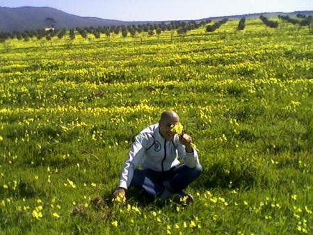 kader 